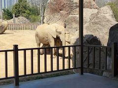 -杭州野生动物世界