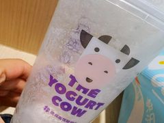 -一只酸奶牛(时代天街A馆店)
