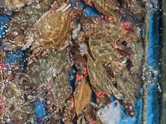 -映像威海·海鲜味道(经区店)