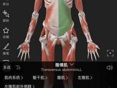 -锐动健身游泳(博地中心店)