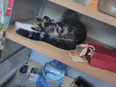 -张钰强中医正骨推拿连锁(唐家人才公寓店)
