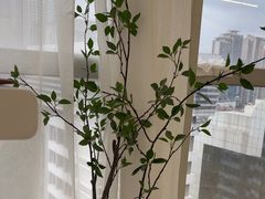 -Tanya'Room化妆培训