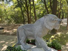 -沈阳市东陵公园