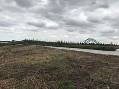 -春花秋色城市公园