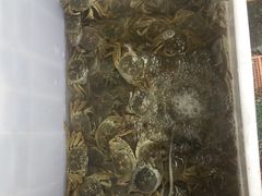 -青石桥市场北1-27号
