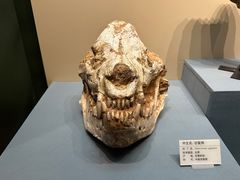 -天津自然博物馆