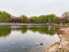 -泰丰公园