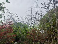 -雨花胜境