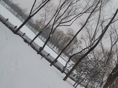 -森林公园(尖草坪区)