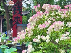 -钱王祠