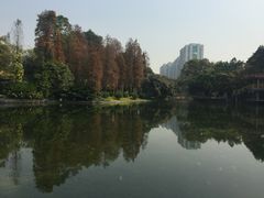 -晓港公园