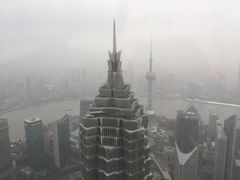 -上海柏悦酒店