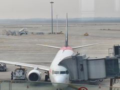 -青岛胶东国际机场