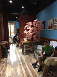 -星豆豆儿童摄影(南郊太白南路店)