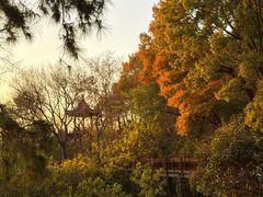 -南京市江宁方山