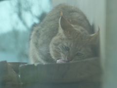 -青藏高原野生动物园
