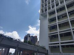 -香港大学