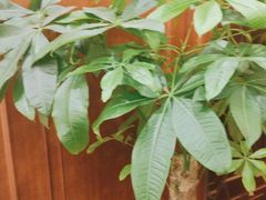 -金时代顺风大酒店(金山店)