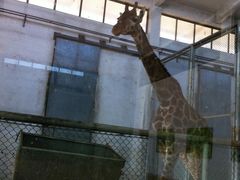 -石家庄市动物园