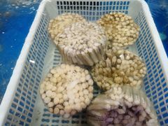 -盒马鲜生(红莲店)