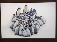 -罗红摄影艺术馆