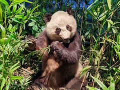 -陕西自然博物馆