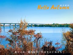 -永定河休闲森林公园