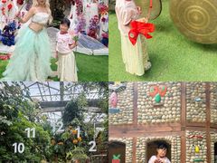 -呀路古热带植物园