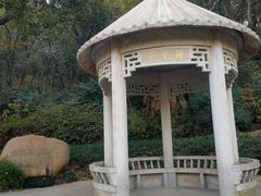 -苏州上方山国家森林公园