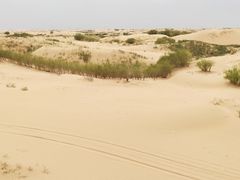 -银肯塔拉沙漠生态旅游景区