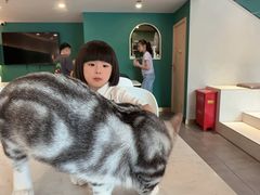 -飞行喵MR PILOT|猫舍·猫咖(静安大融城店)