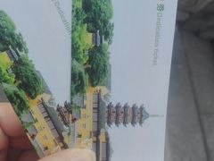 -建华生态湿地百荷园