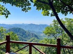 -大岭沟猕猴桃谷风景区