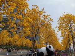 -洲头咀公园