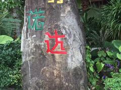 -呀诺达热带雨林