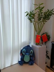 -黎蓓露·徒手骨雕蛋白抗衰·调肤管理