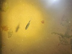 -青岛银沙滩