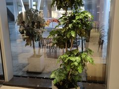 -Seesaw Coffee(西岸凤巢店)