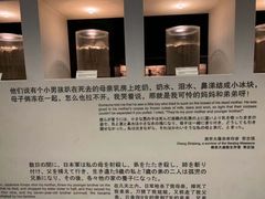 -侵华日军南京大屠杀遇难同胞纪念馆