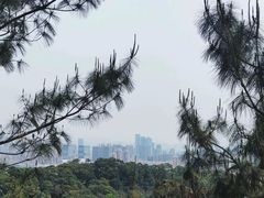 -飞凤山奥体公园