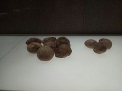 -信阳博物馆
