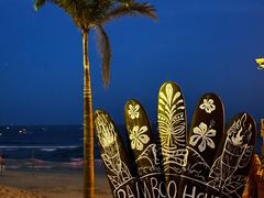 -西涌国际滨海旅游区