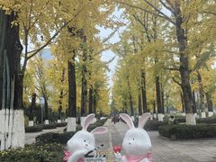 -两江幸福广场