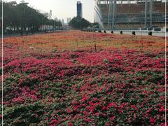 -海心沙亚运公园