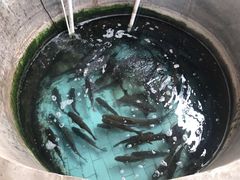 -贤鲁岛贤溪农庄