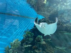 -福州罗源湾海洋世界旅游区