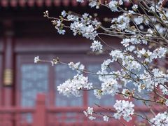 -堤角公园