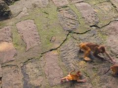 -成都动物园