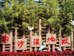 -大湾区中央湿地公园
