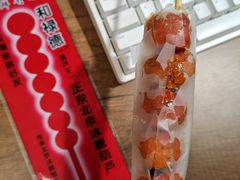 -和禄德冰糖葫芦